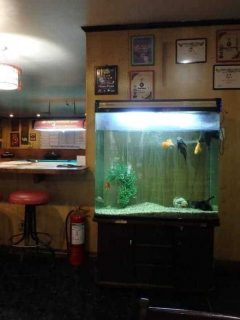 aquarium placed in the corner of a bar