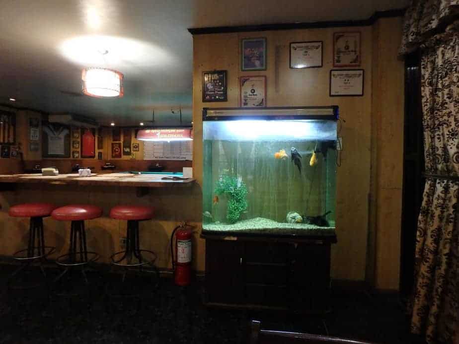 aquarium placed in the corner of a bar