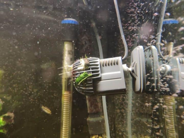 wave maker filter pump in aquarium