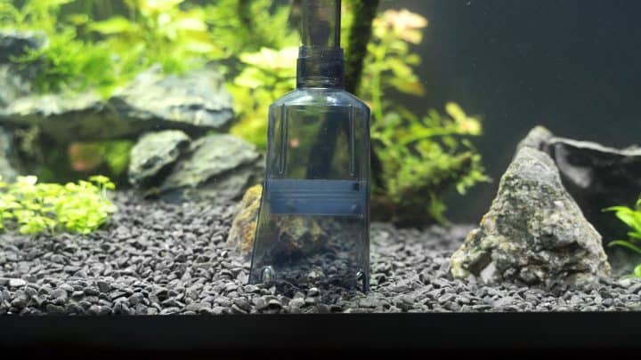 Siphon gravel cleaner tool in the aquarium