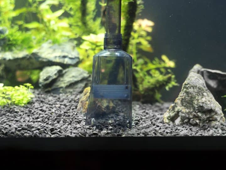 Siphon gravel cleaner tool in the aquarium
