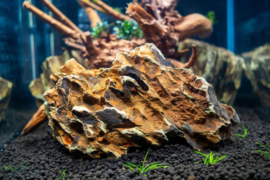 Launch of a new aquascaping with driftwood and dragonstone on soil with plants, freshwater aquarium for 30 liters