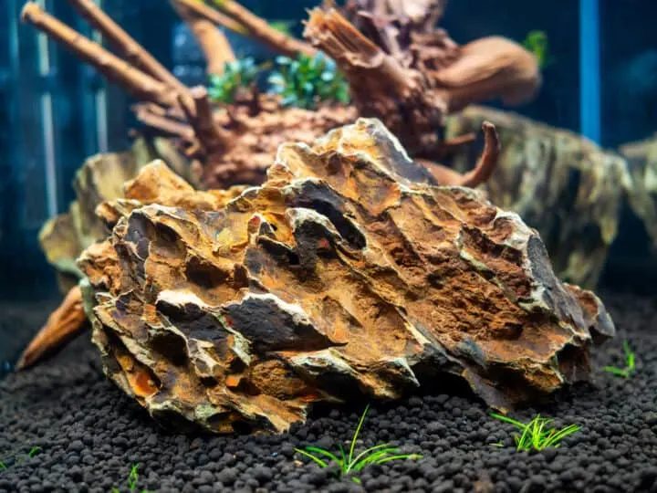 Launch of a new aquascaping with driftwood and dragonstone on soil with plants, freshwater aquarium for 30 liters
