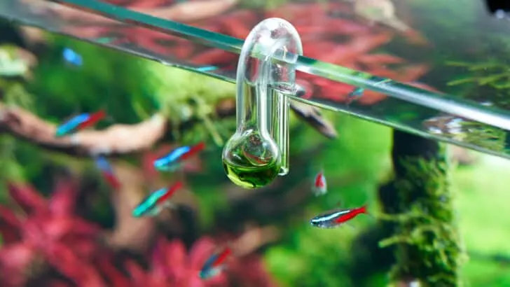 Glass hang-on CO2 aquarium drop checker for monitoring optimal carbon dioxide amount