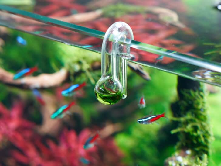 Glass hang-on CO2 aquarium drop checker for monitoring optimal carbon dioxide amount