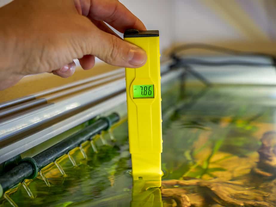 PH checking in a freshwater aquarium with an electronic Ph meter